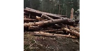 Вырубка деревьев в "Приэльбрусье". 5 мая 2024 г. Скриншот видео СКФО Тelegraph https://t.me/skfo_telegraph/13493